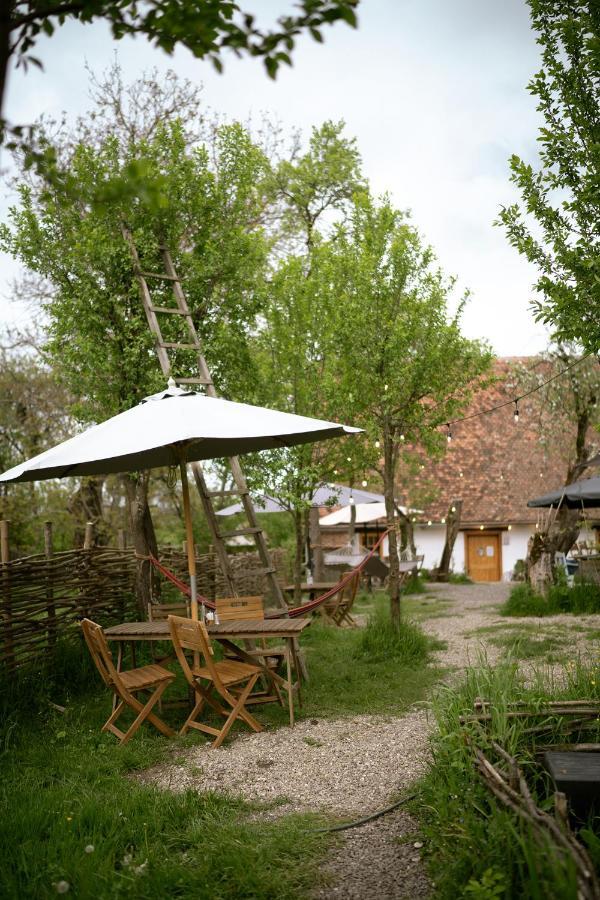Hotel Viscri 32 - White Barn And Blue House Exterior foto