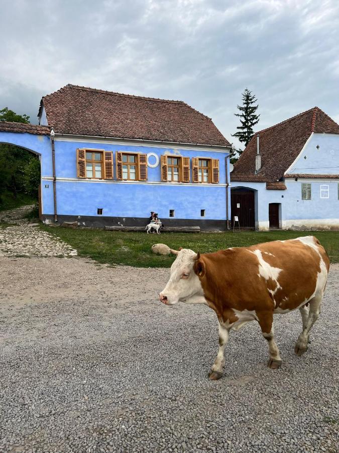 Hotel Viscri 32 - White Barn And Blue House Exterior foto